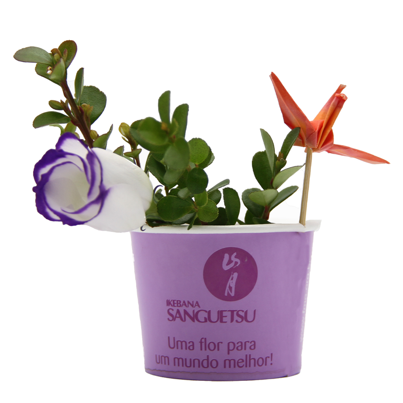 Copinho - Uma Flor Para Um Mundo Melhor - (Pc. Com 50 Un.)